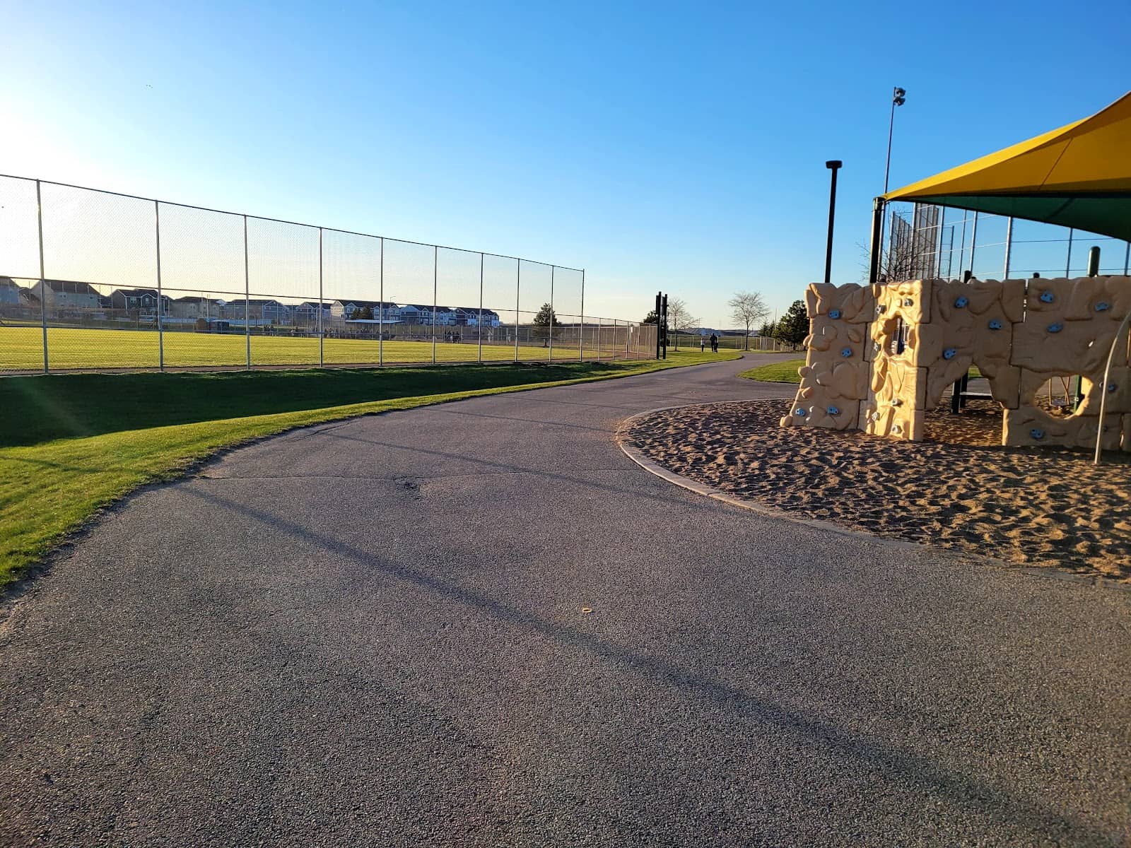 Dog-Friendly Walking Paths