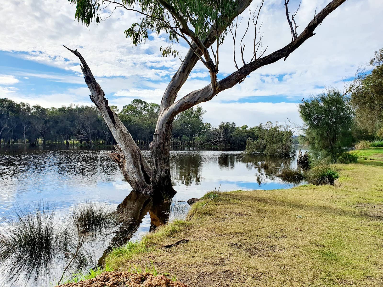 Riverside Picnic Spots