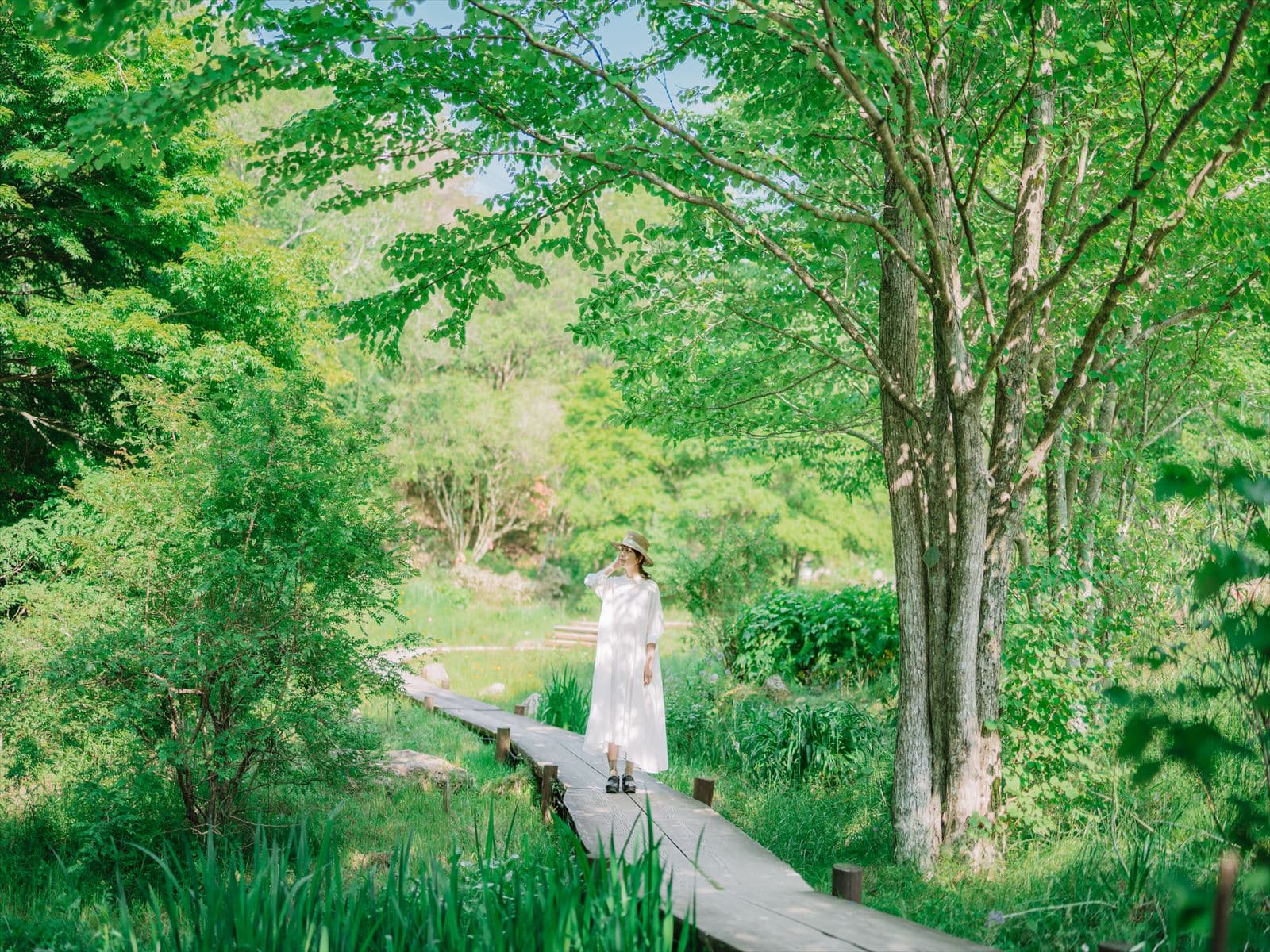 Rokko Morinone Museum - Image 1