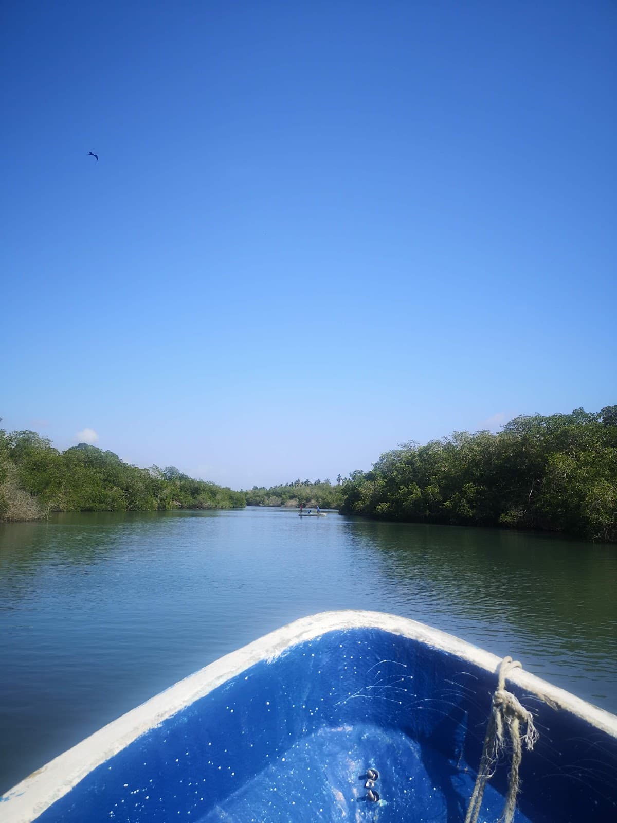 Barra de Potosí Zihuatanejo - Image 1