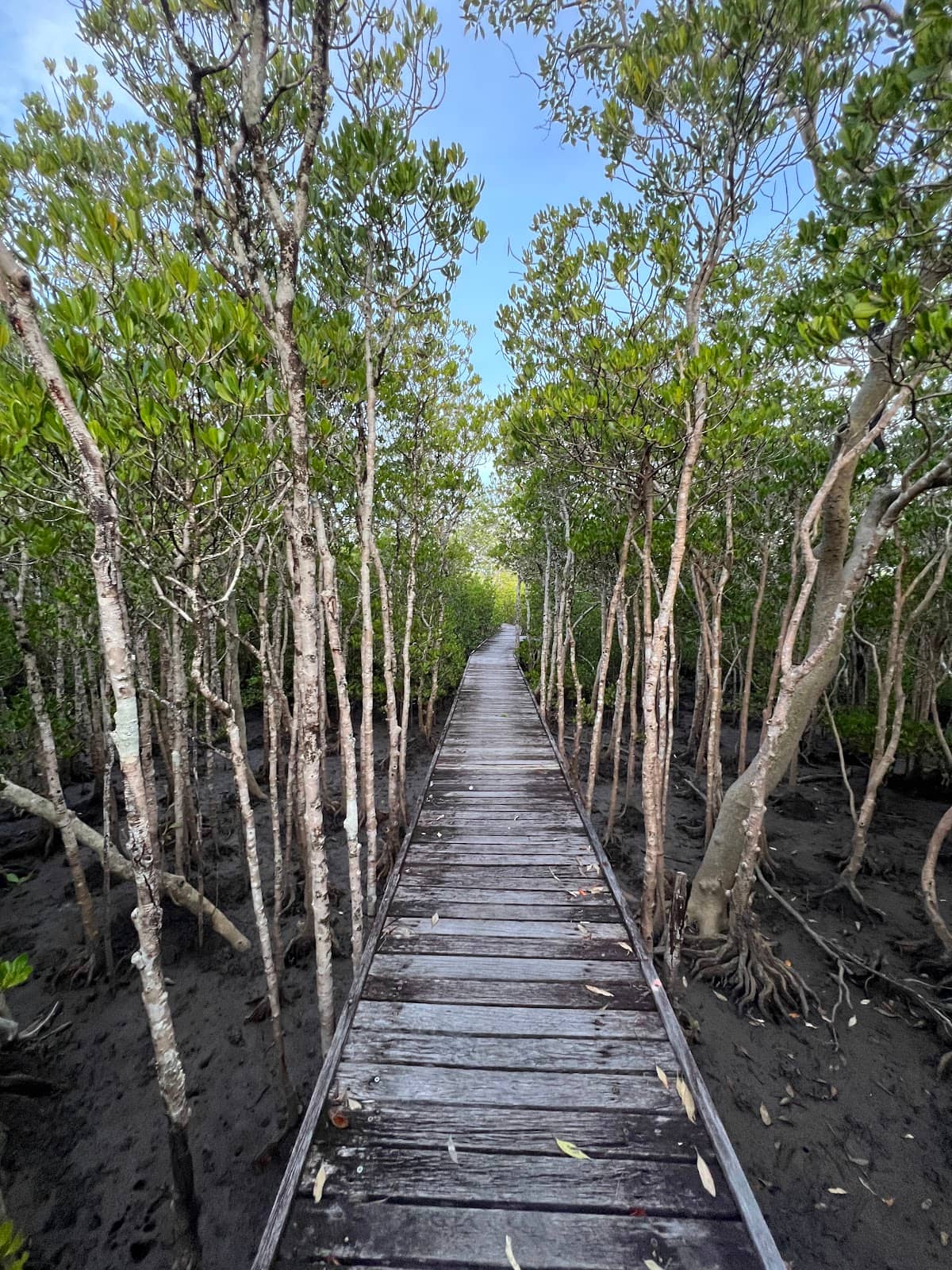 Croc Spotting Potential