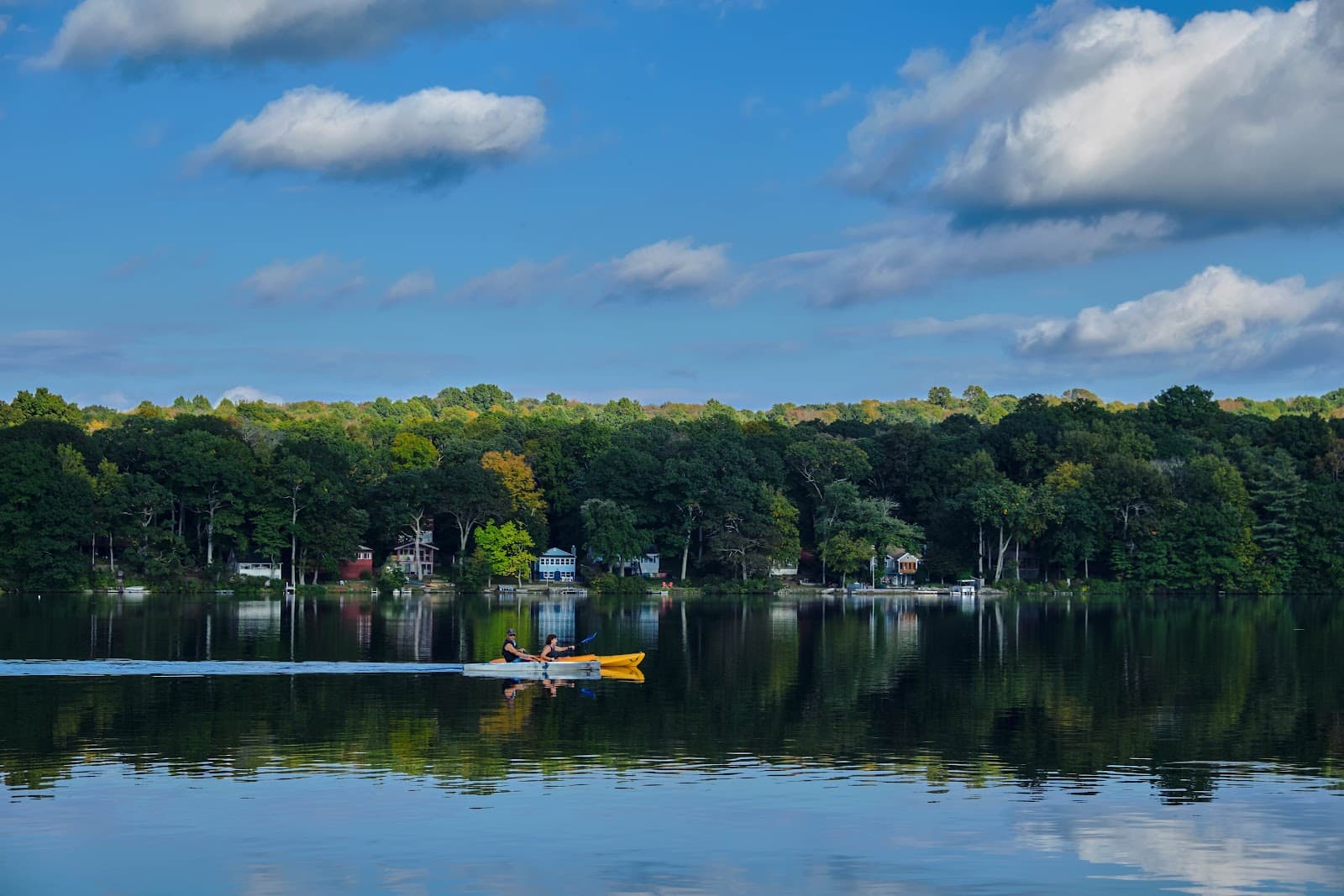Lake Hayward - Image 1