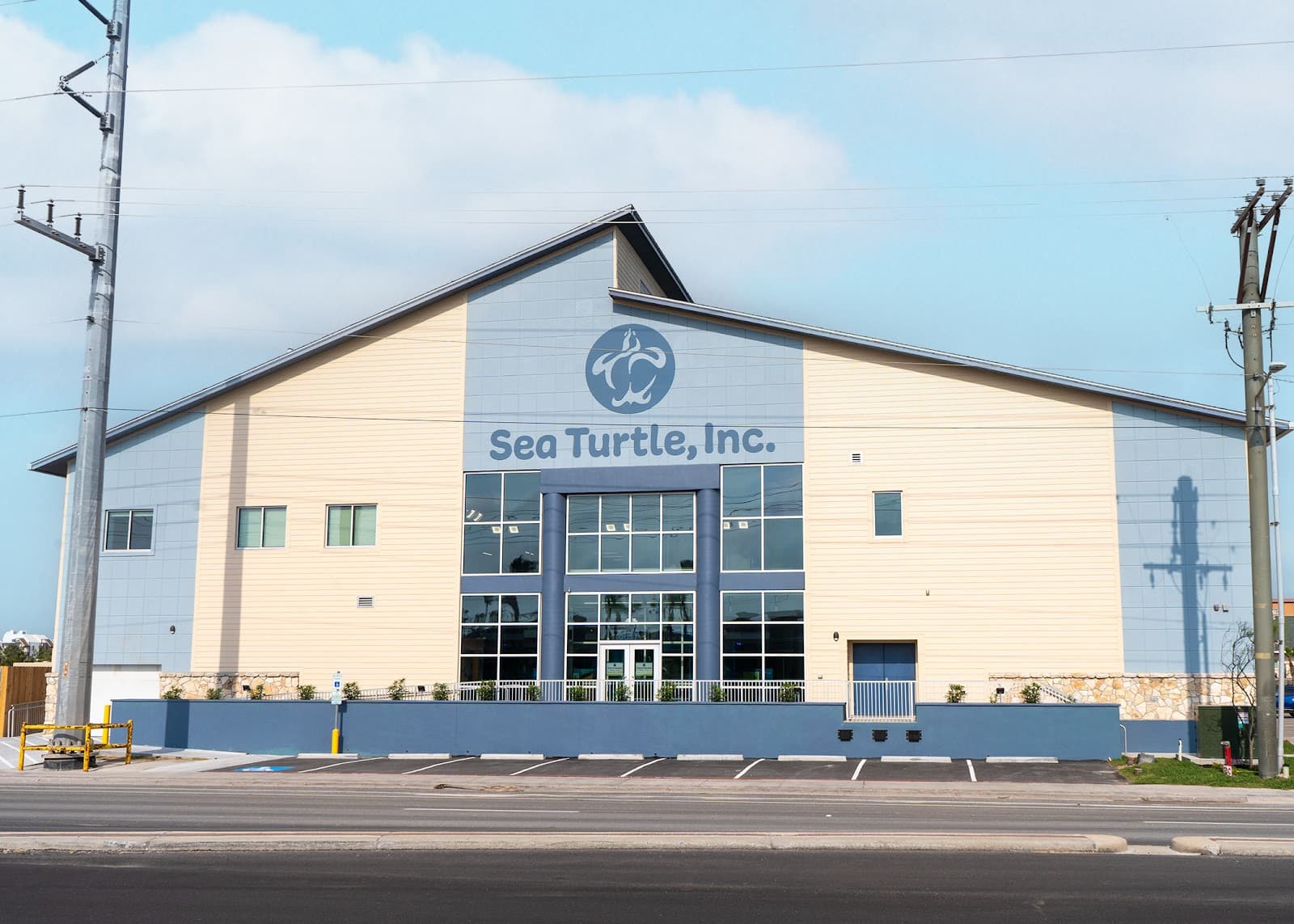 Sea Turtle, Inc. - Image 1