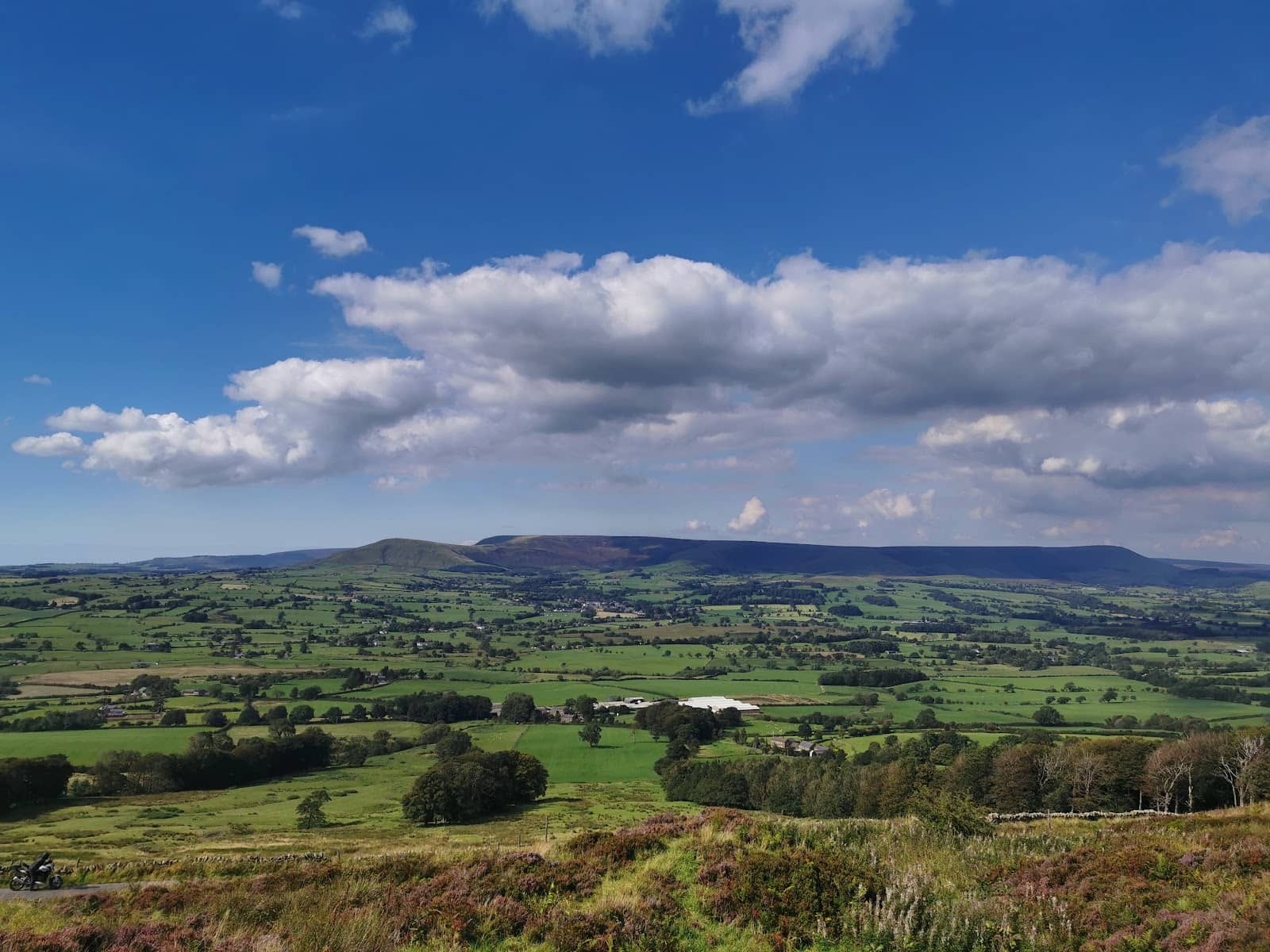 Dog-Friendly Adventures