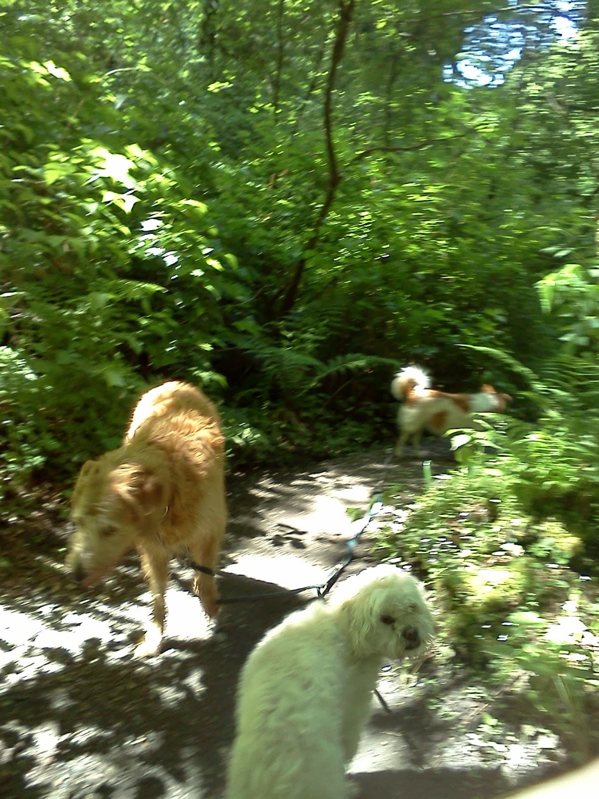 Newport (neighborhood) - Image 1