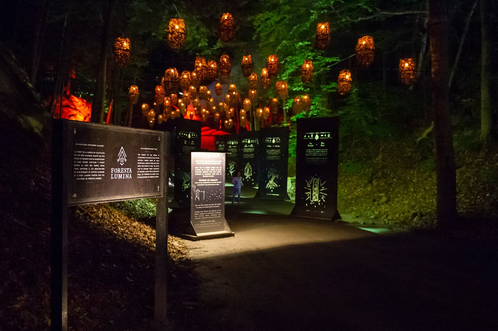 Foresta Lumina - Image 1