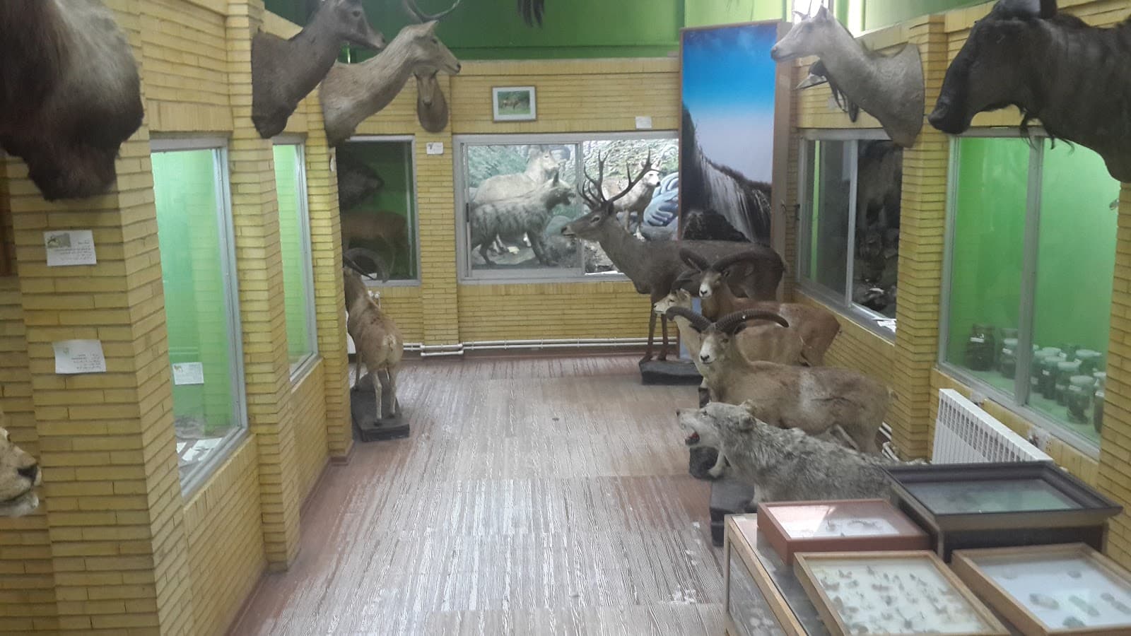 Natural History Museum of Tabriz - Image 1