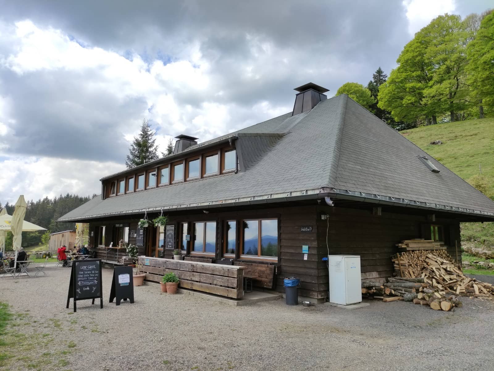Tranquil Alpine Pasture