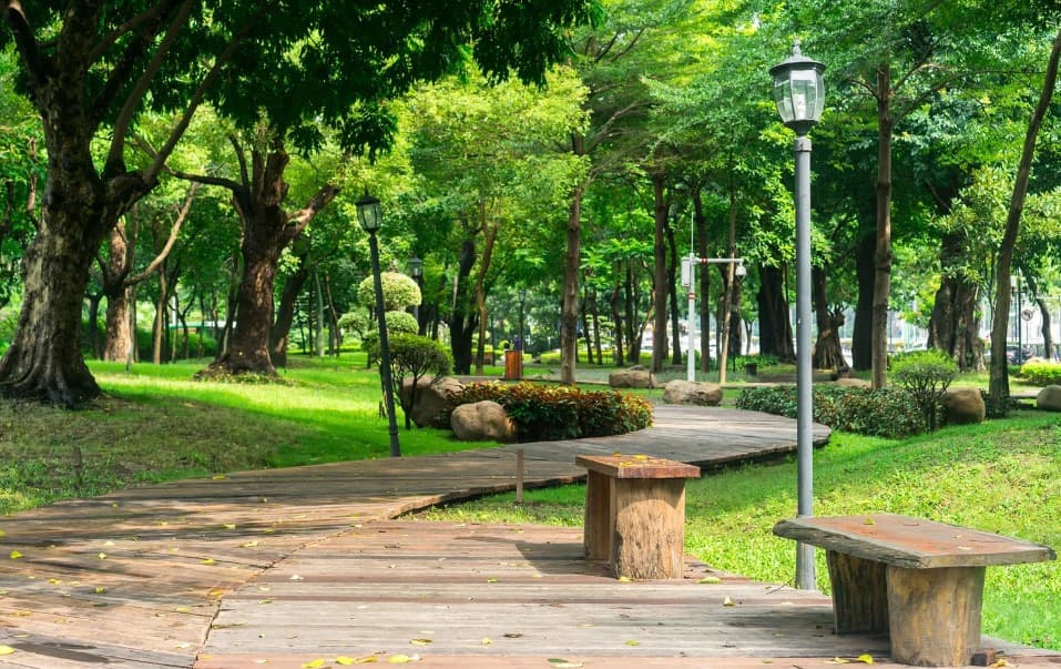 Hoang Van Thu Park Ho Chi Minh City - Image 1
