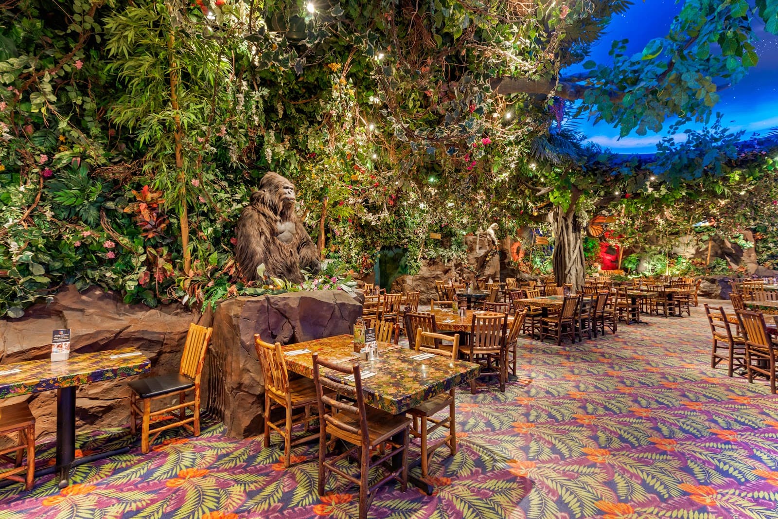 Rainforest Cafe Tokyo - Image 1