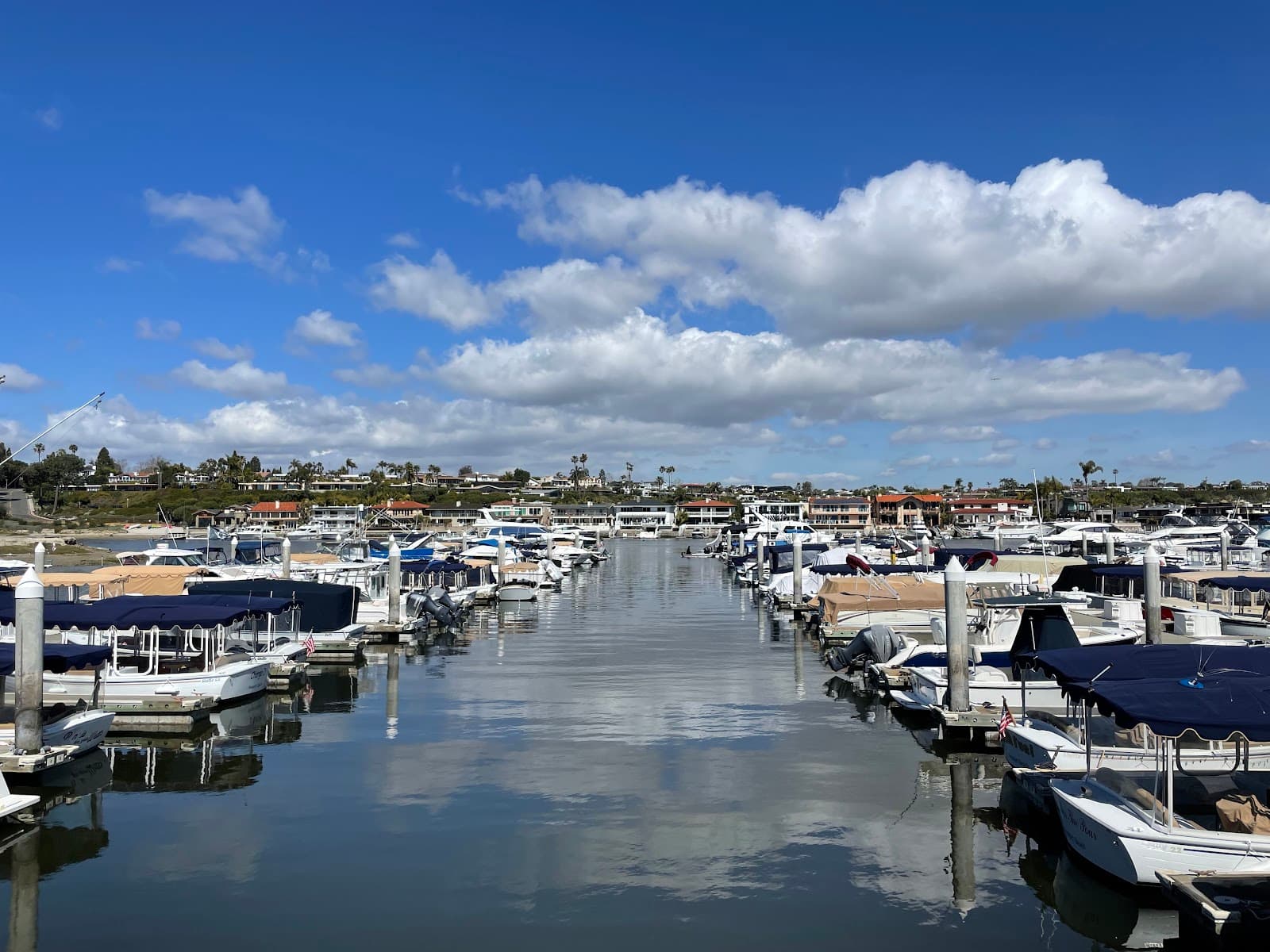 Newport Dunes Waterfront Resort - Image 1