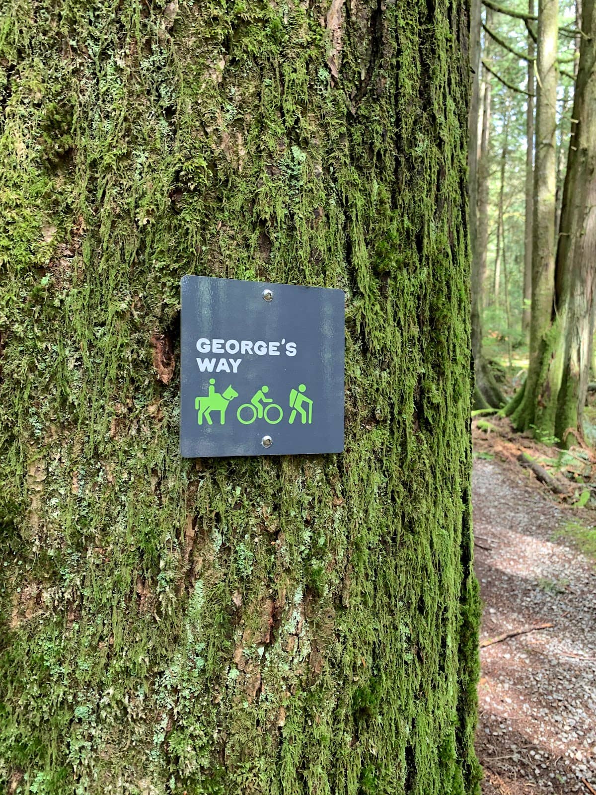 Well-Maintained Paths