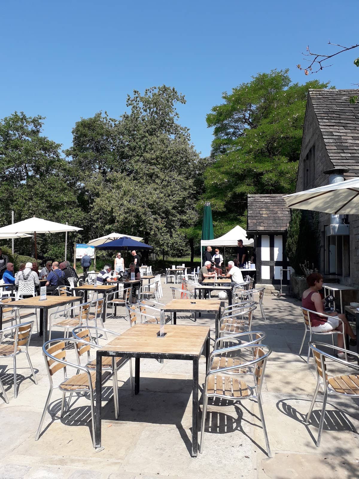 Festive Christmas Experience