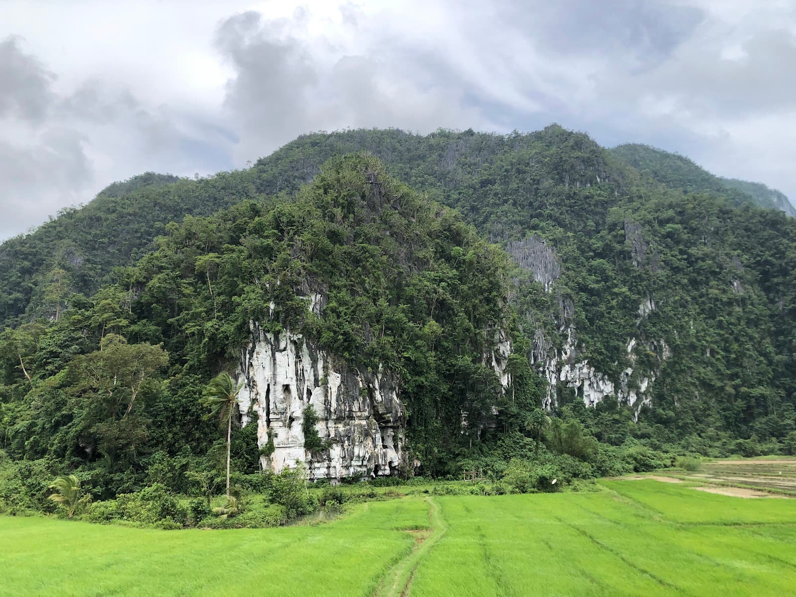 Elephant Cave Tagabinet - Image 1