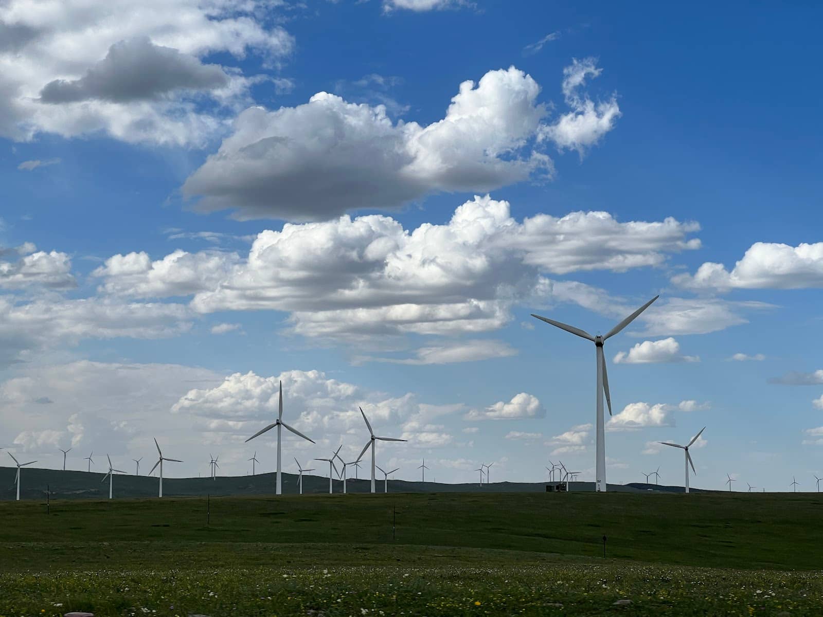 Traditional Yurt Stays