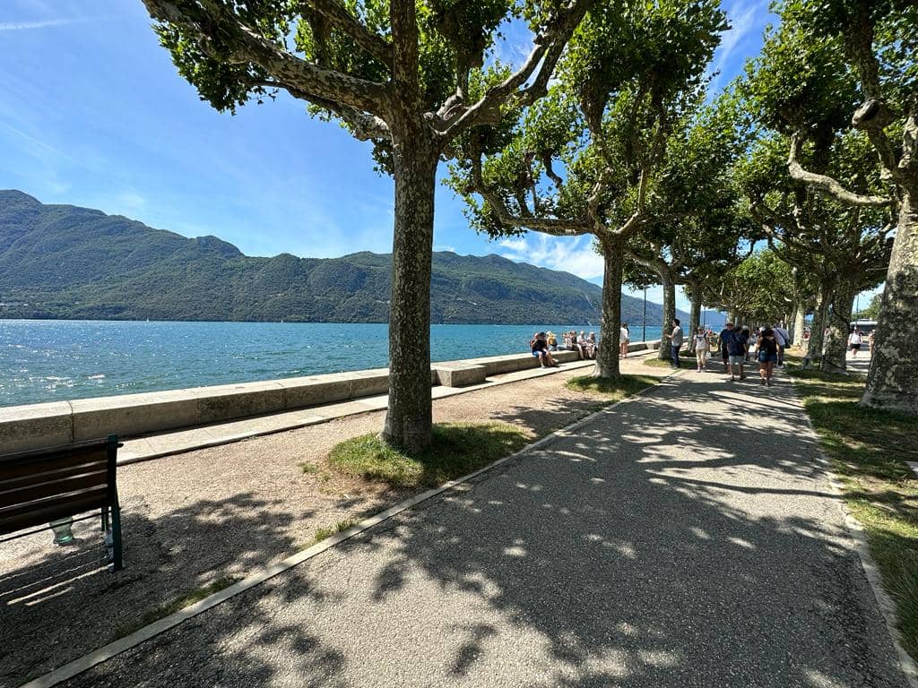 Waterfront Activities