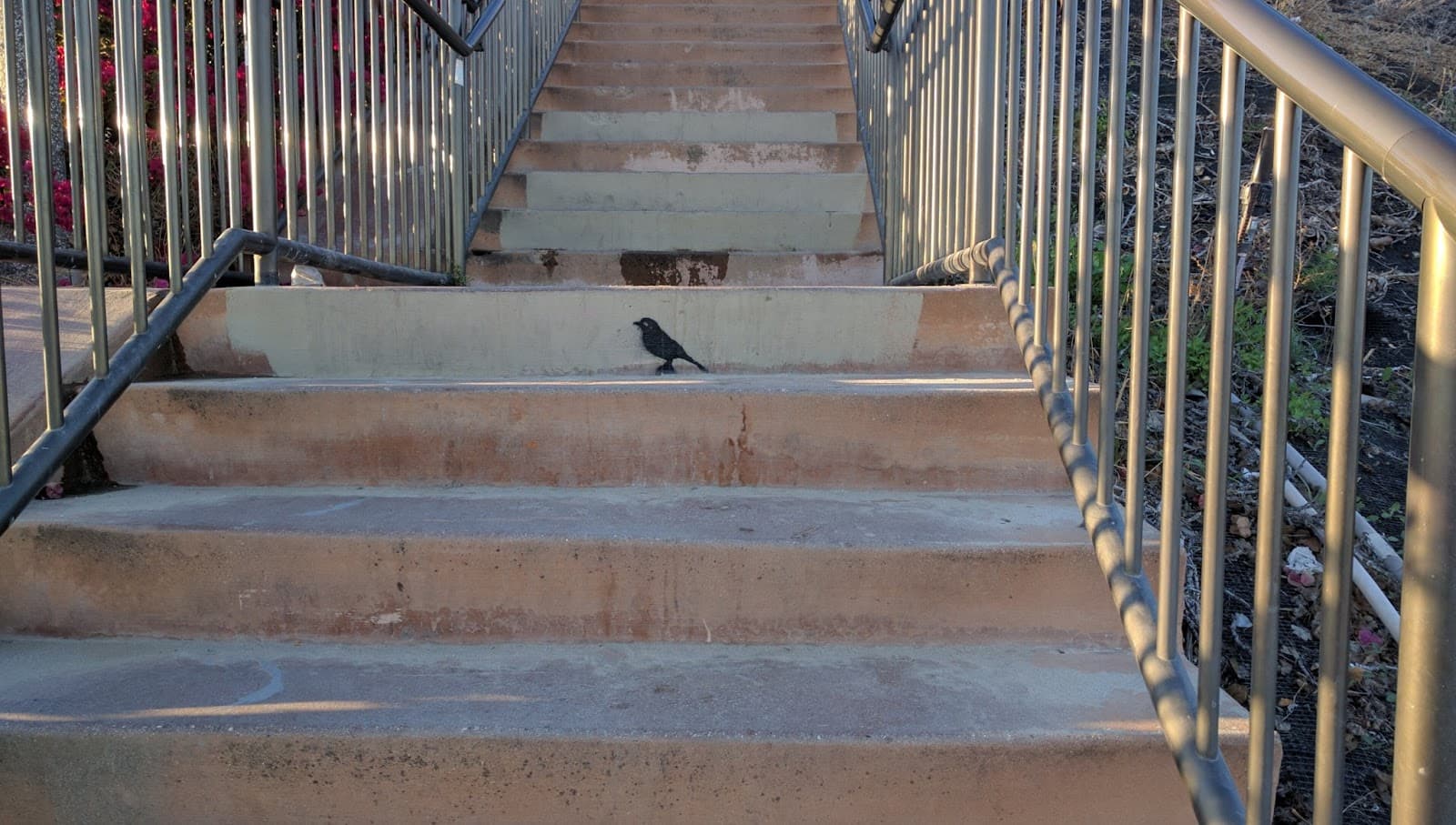 Bluff Heights Historic District - Image 1