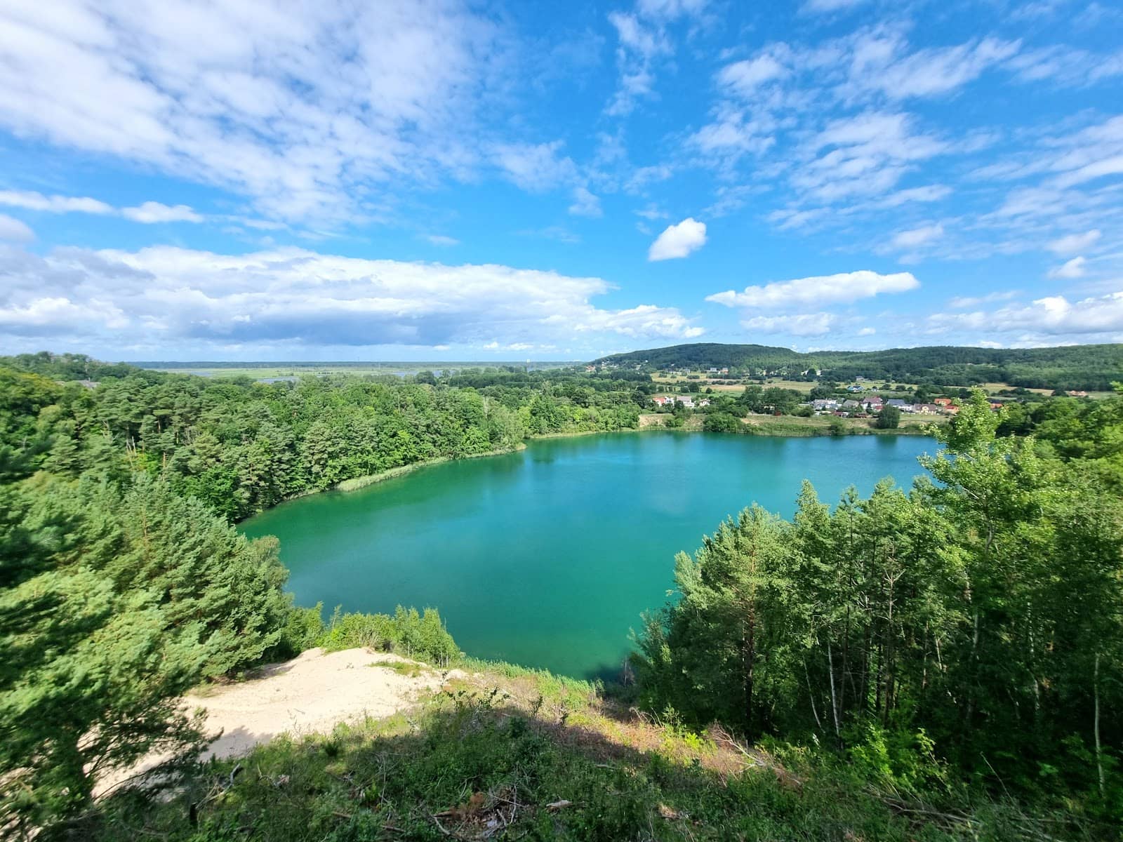 Scenic Forest Trails