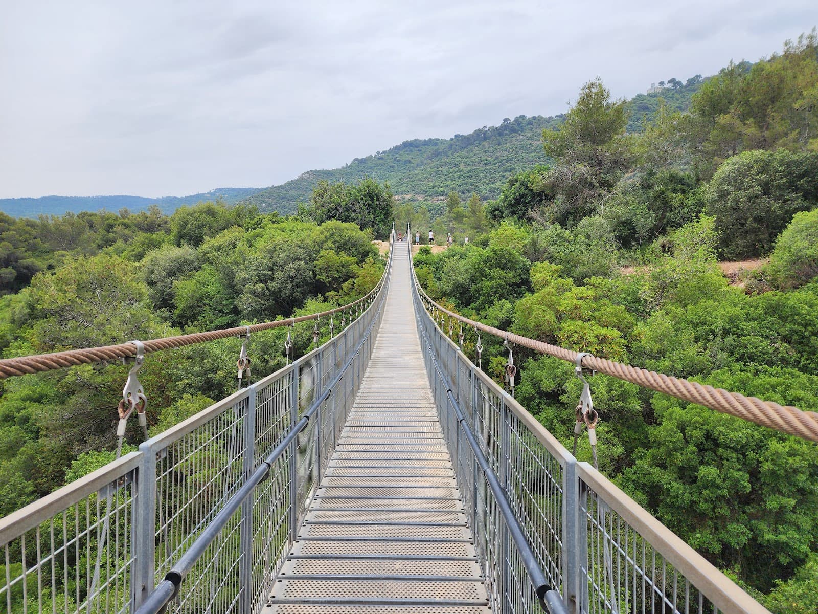 Nesher Park Hanging Bridges - Image 1