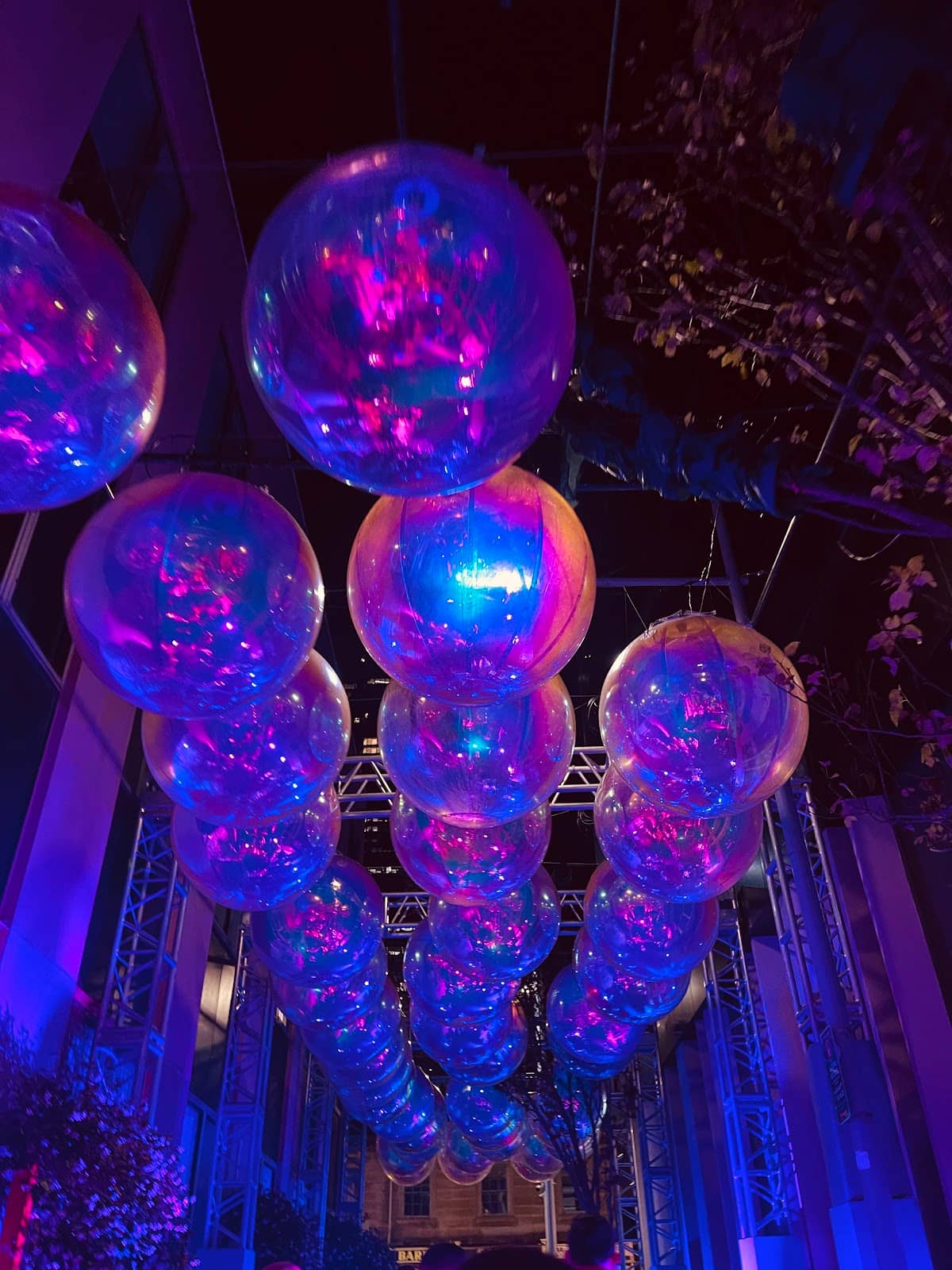 Live Music and Performances