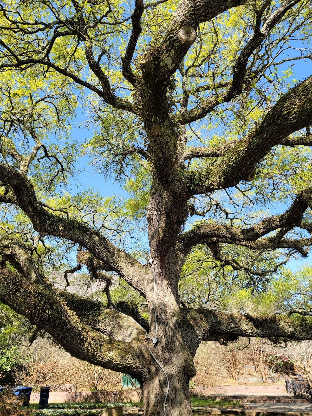 Beau Jardin & Riverwalk - Image 1