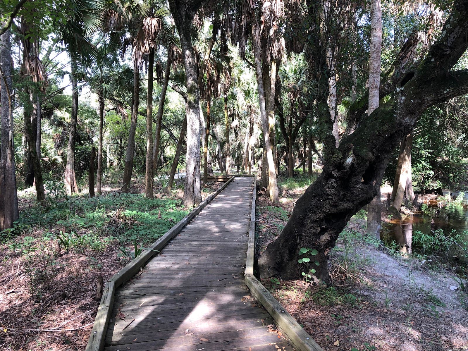 Bonita Nature Place - Image 1