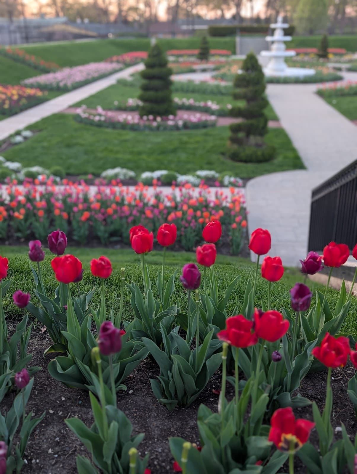 Phillips Park Sunken Garden - Image 1