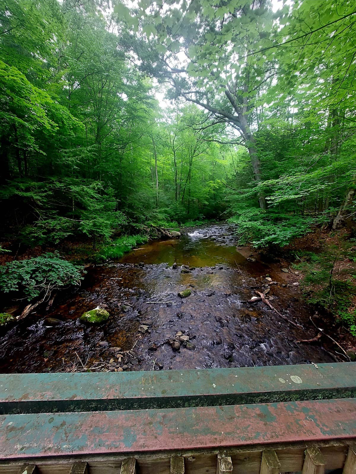 Derry's Poetic Footsteps