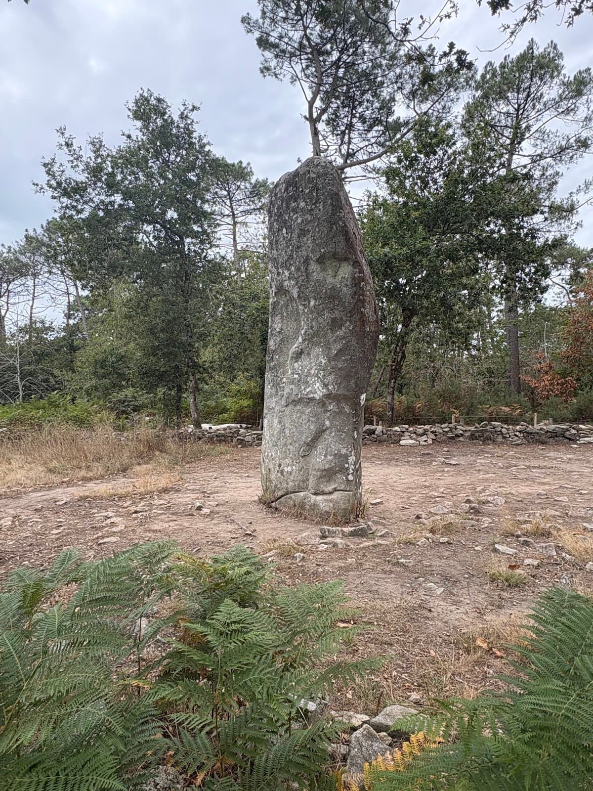 Géant du Manio - Image 1