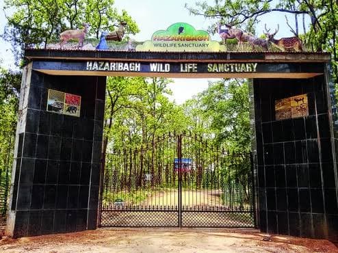 Hazaribagh National Park - Image 1