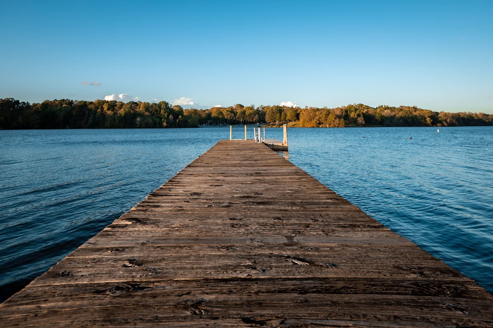 Oak Hollow Lake & Marina - Image 1