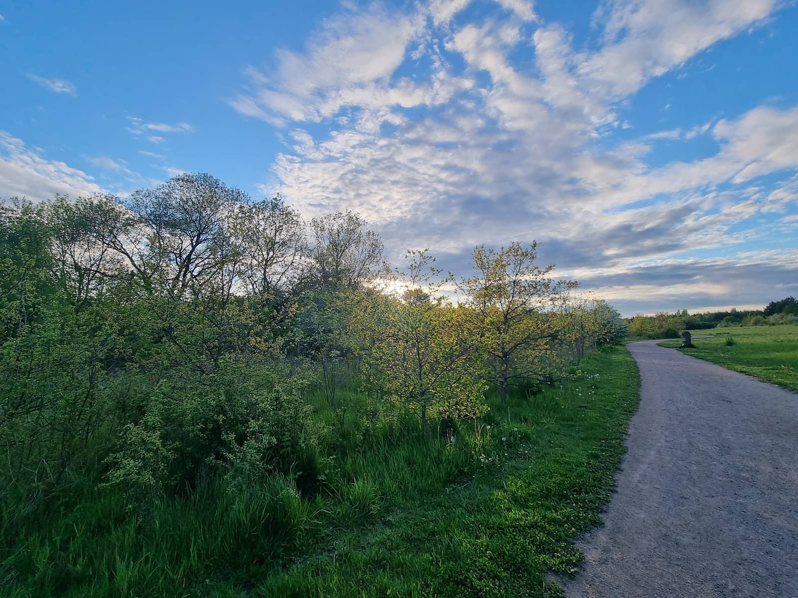River Ingrebourne Access