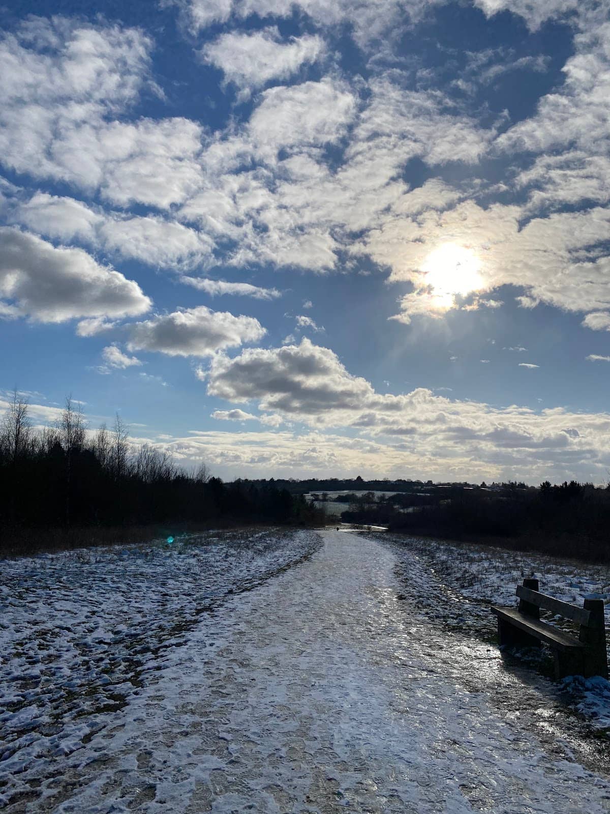 Extensive Trail Network