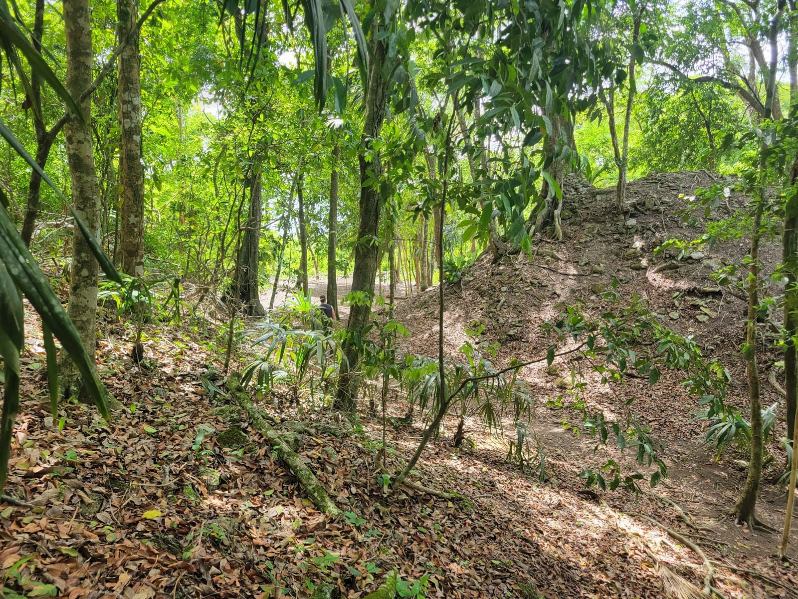 El Pilar Archaeological Reserve - Image 1