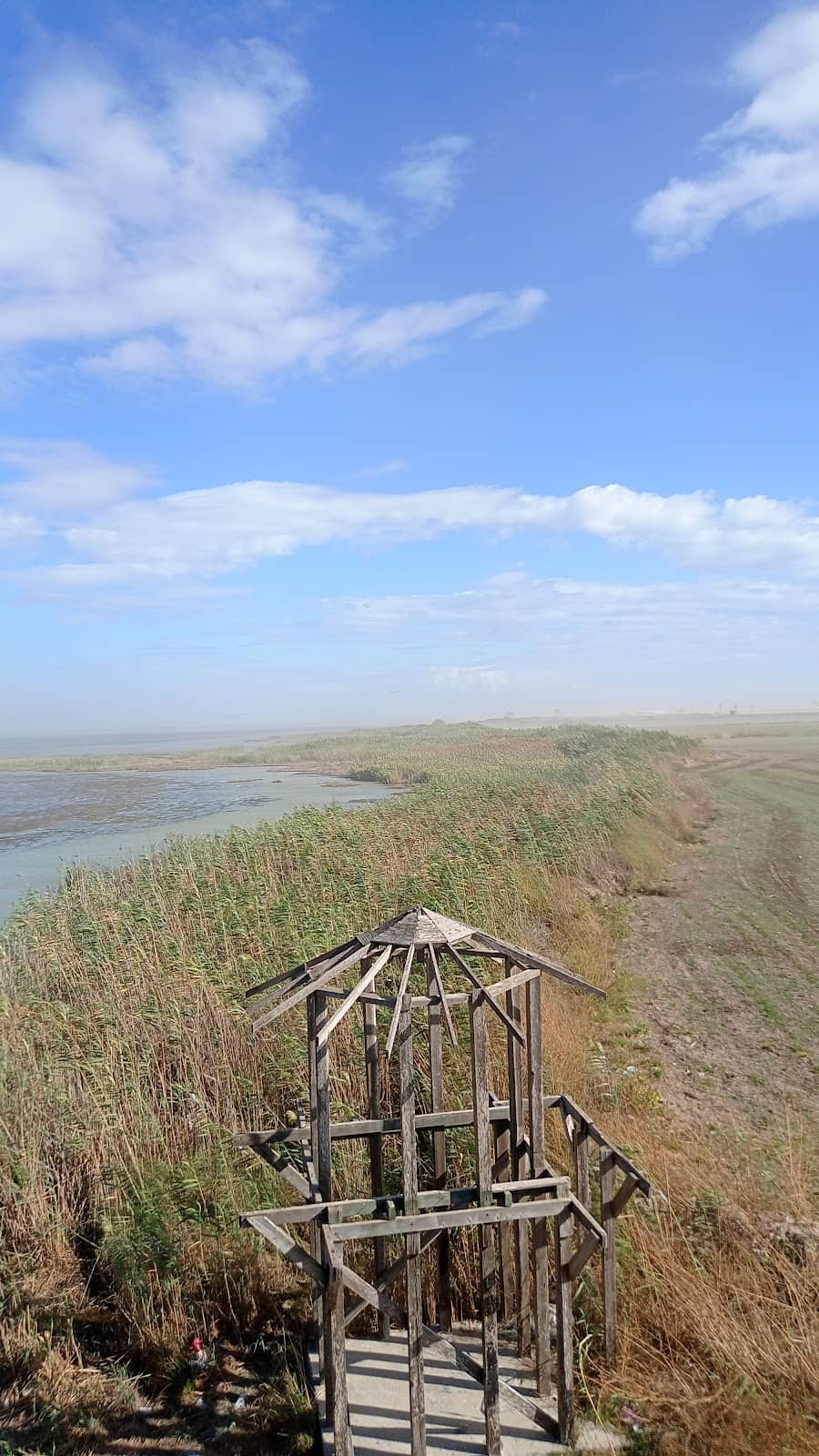 Local Tea Experience