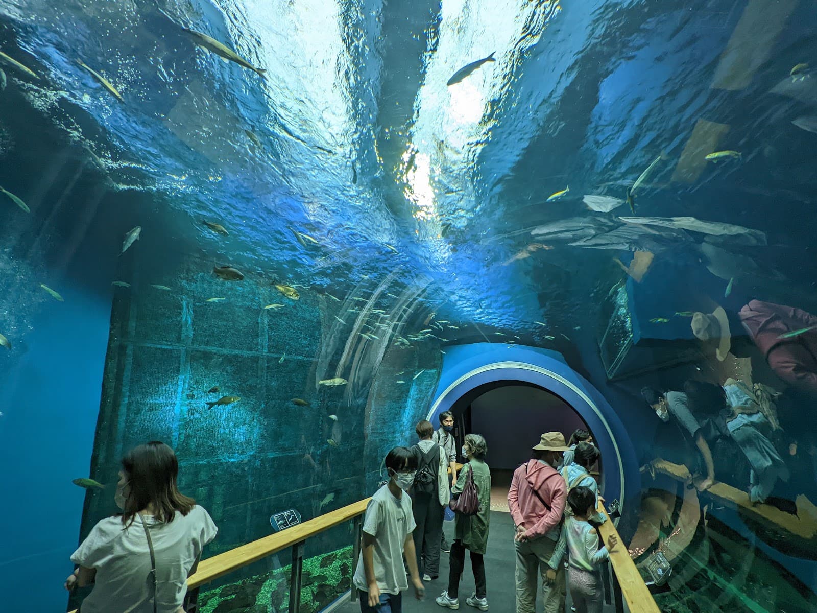 Lake Biwa Museum - Image 1