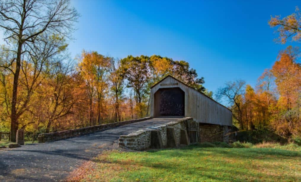 Mountain Biking Trails