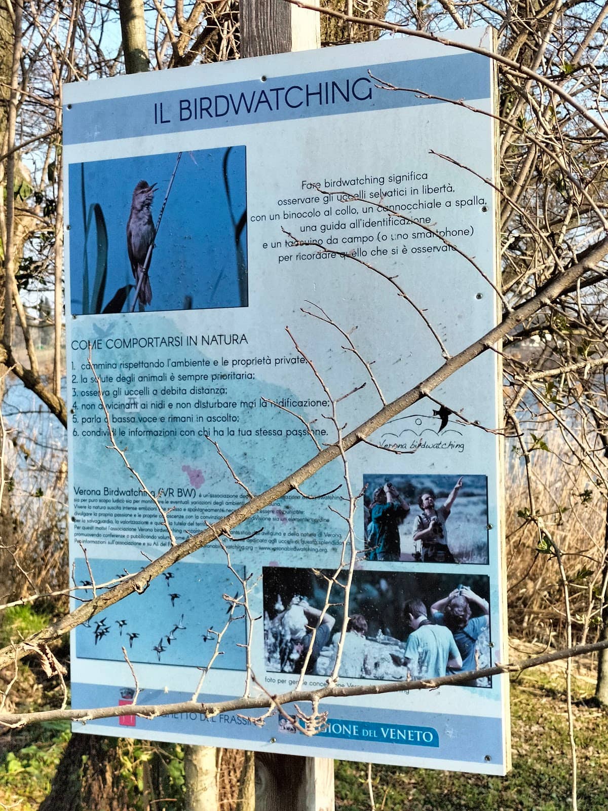 Vertical photo