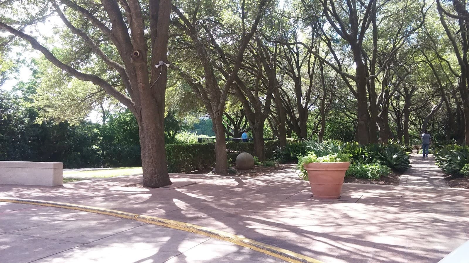 The Arboretum at Great Hills - Image 1