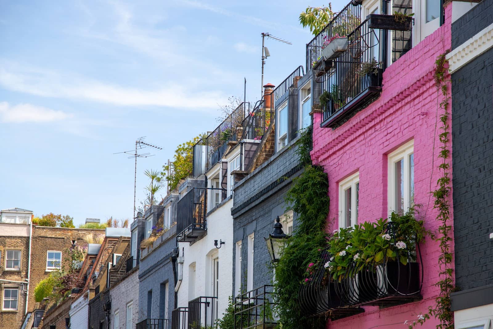 Photographer's Dream