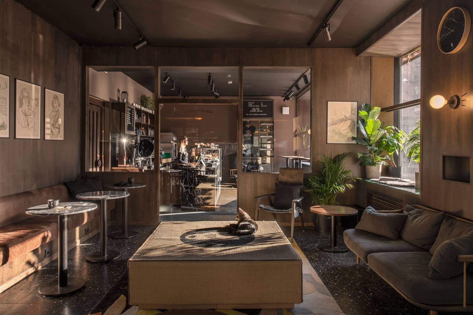 Adoption Opportunities