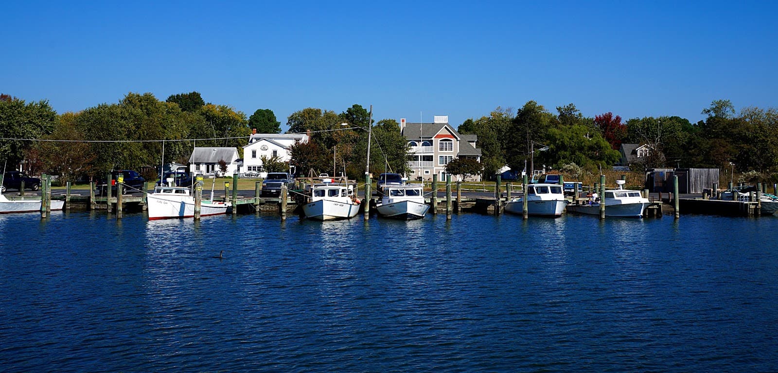 Dogwood Harbor (Tilghman) - Image 1
