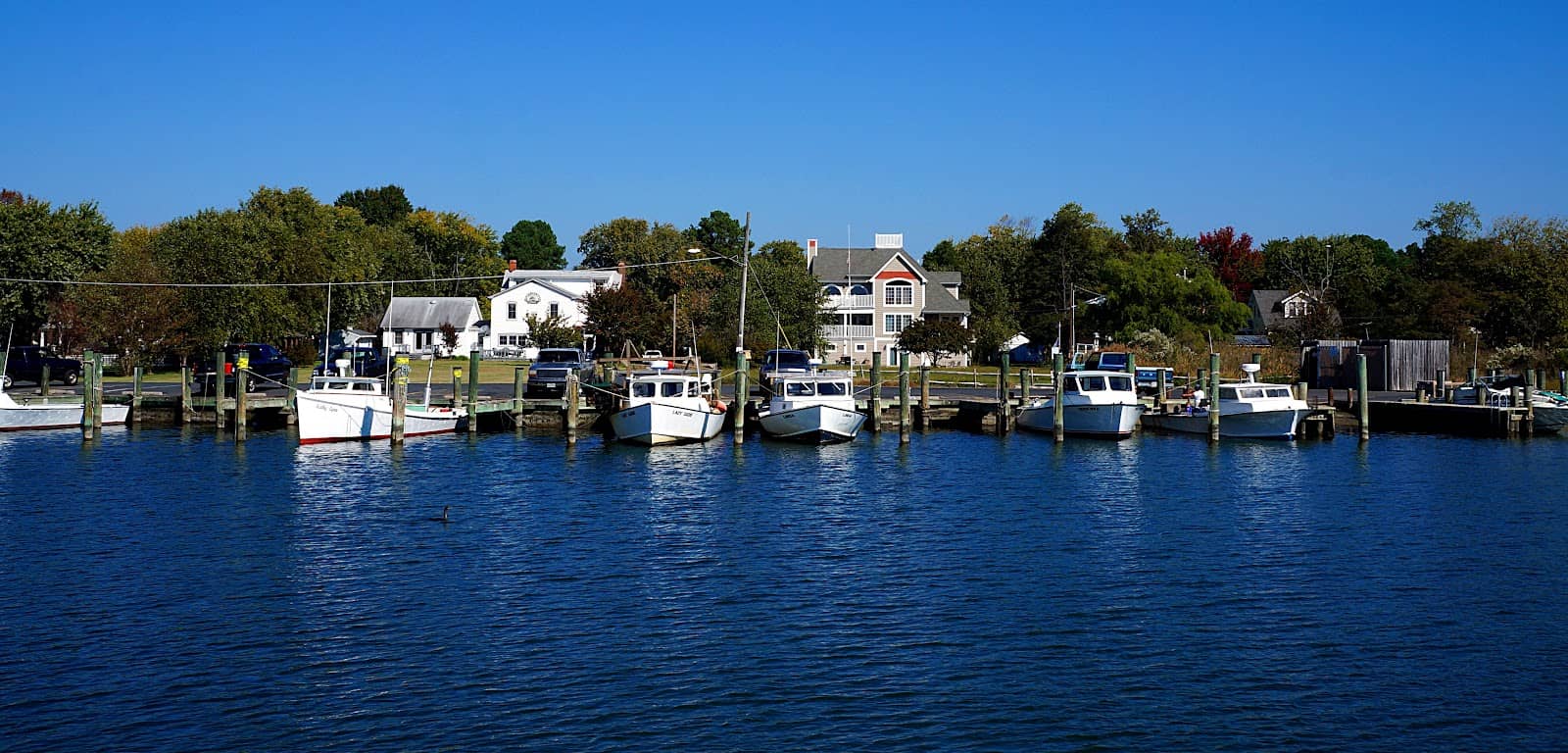 Stargazing Opportunities