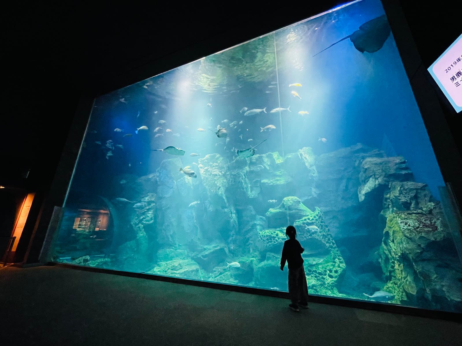 Oga Aquarium GAO - Image 1