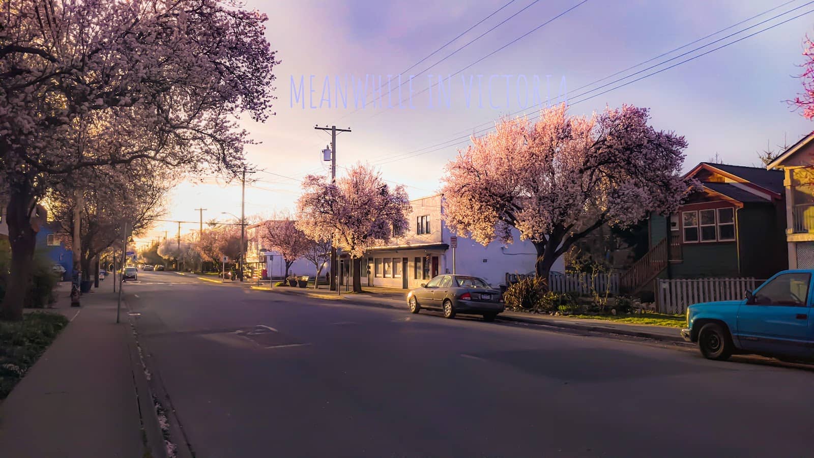 Ichigo Strawberry Moon Festival