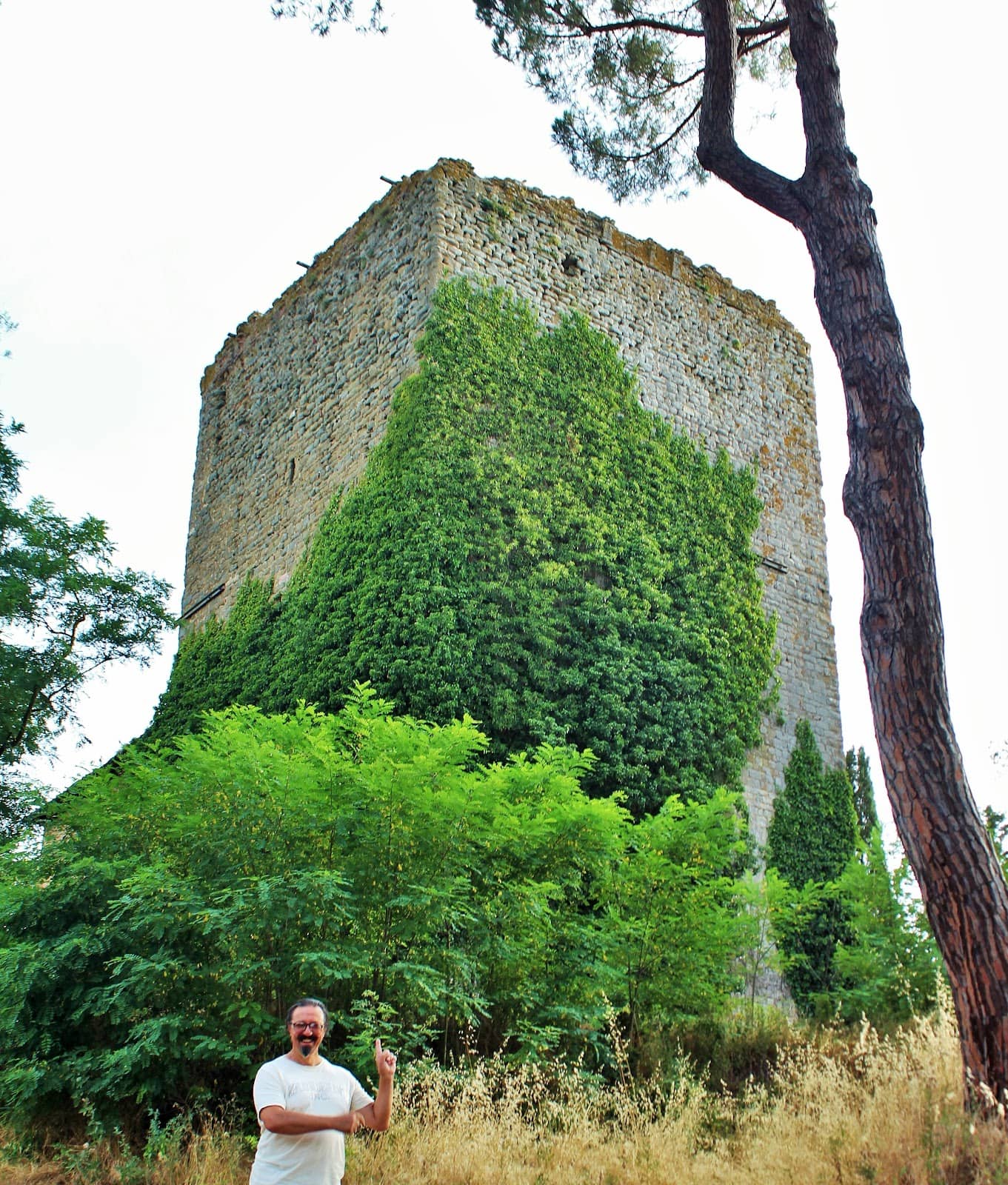 Valdichiana Landscape