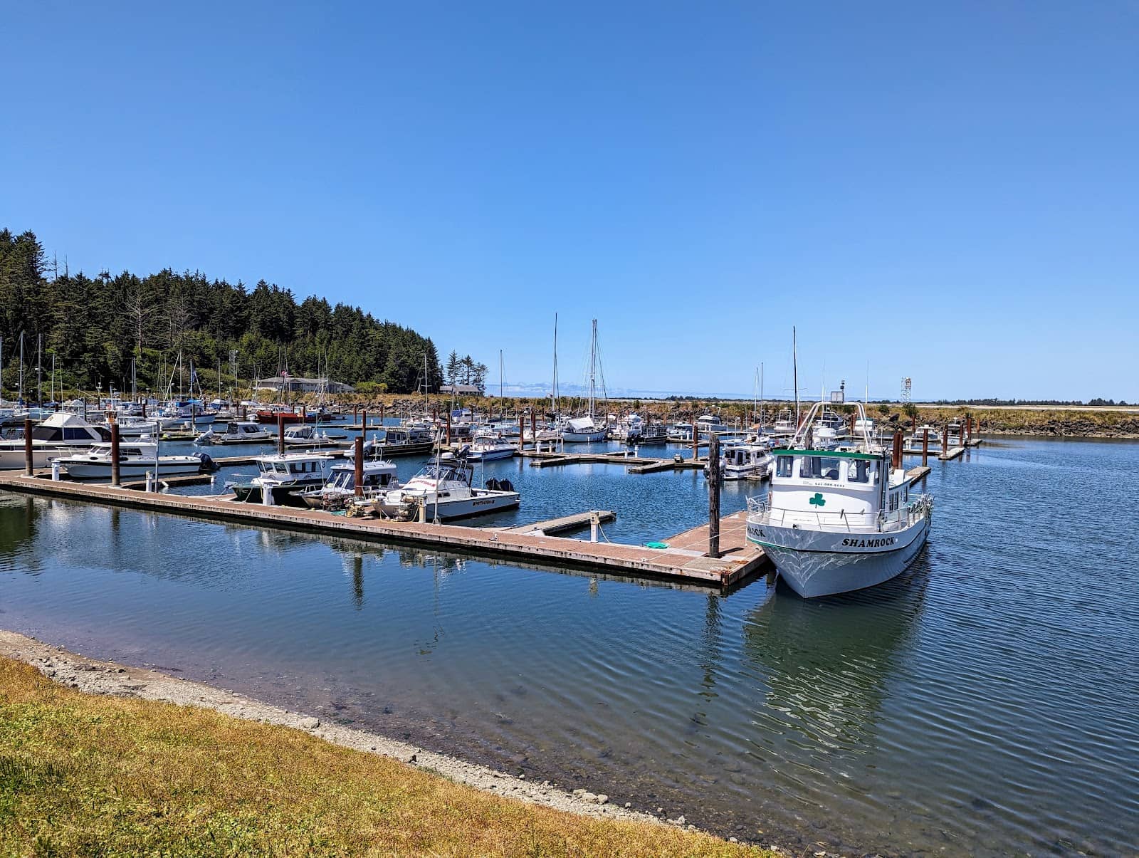 Marina Strolls & Views