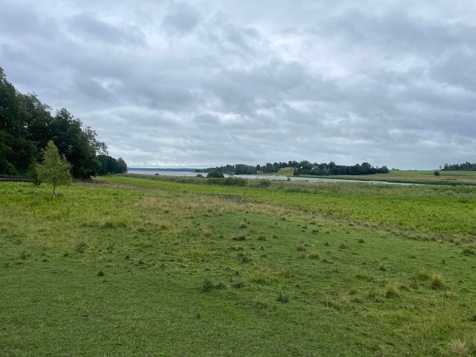 Hammarskog Nature Reserve - Image 1