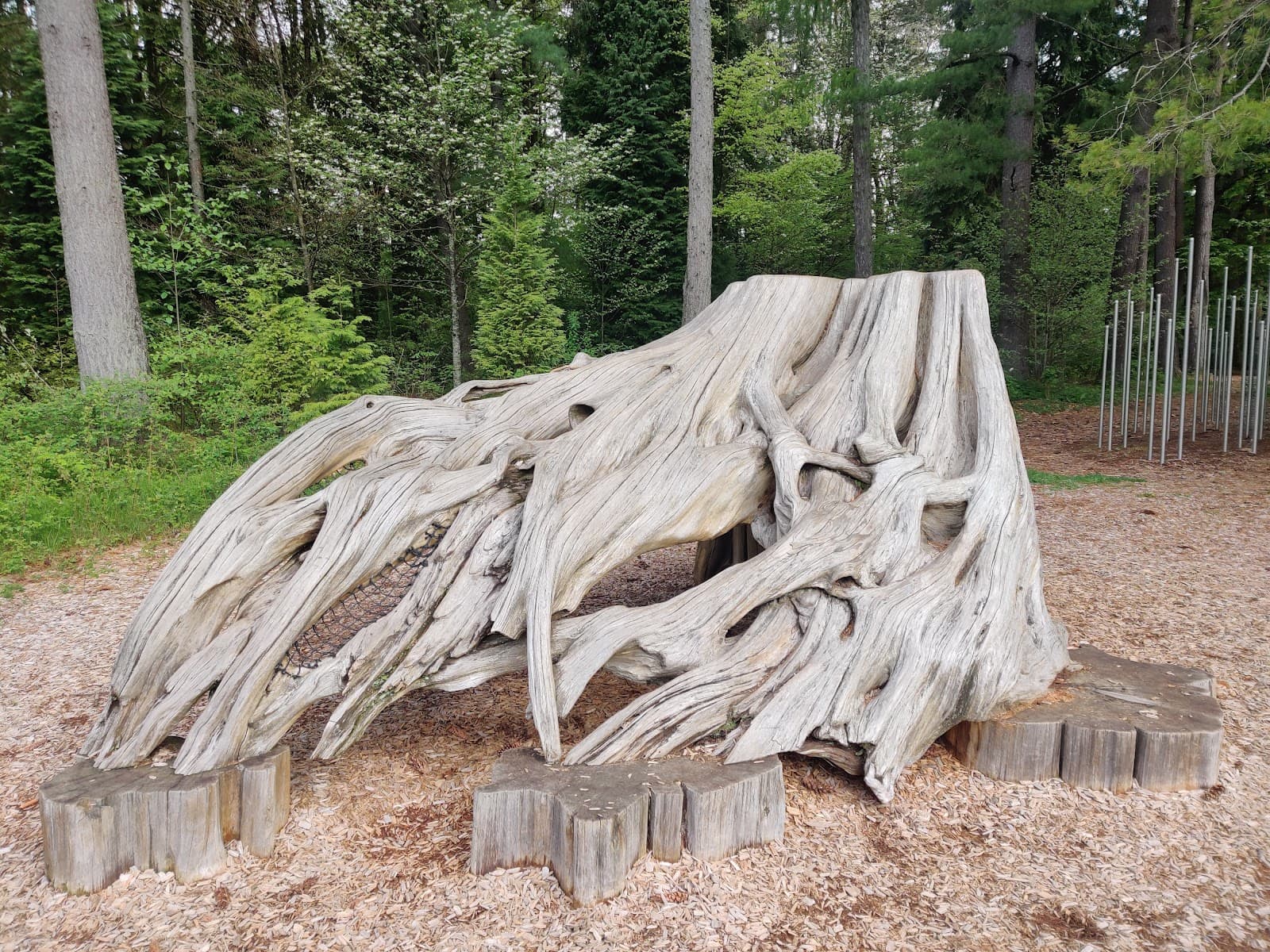 Surrey Nature Centre - Image 1