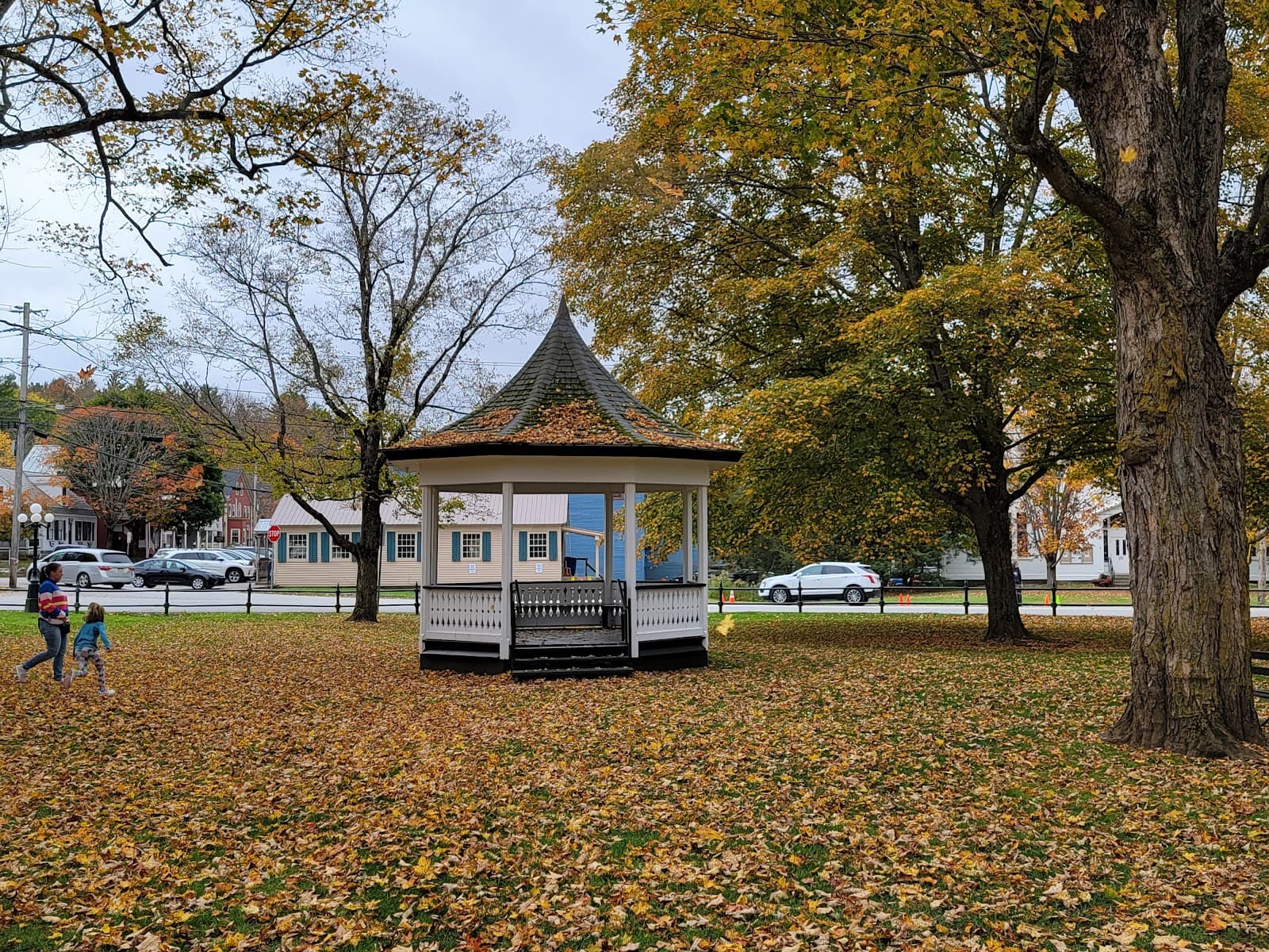 Weston Village Green - Image 1